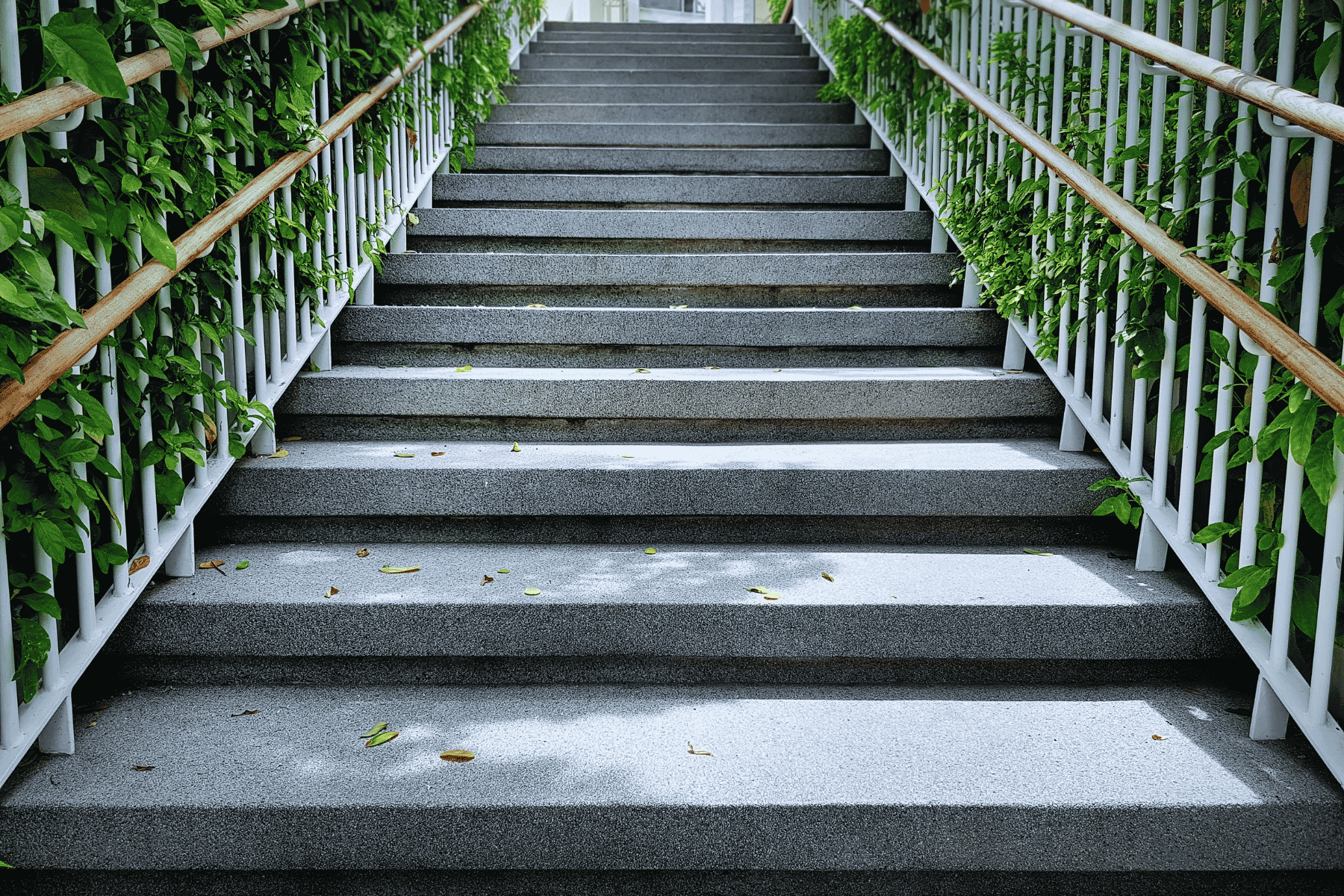 Staircase Elevation with Greenery Backdrop